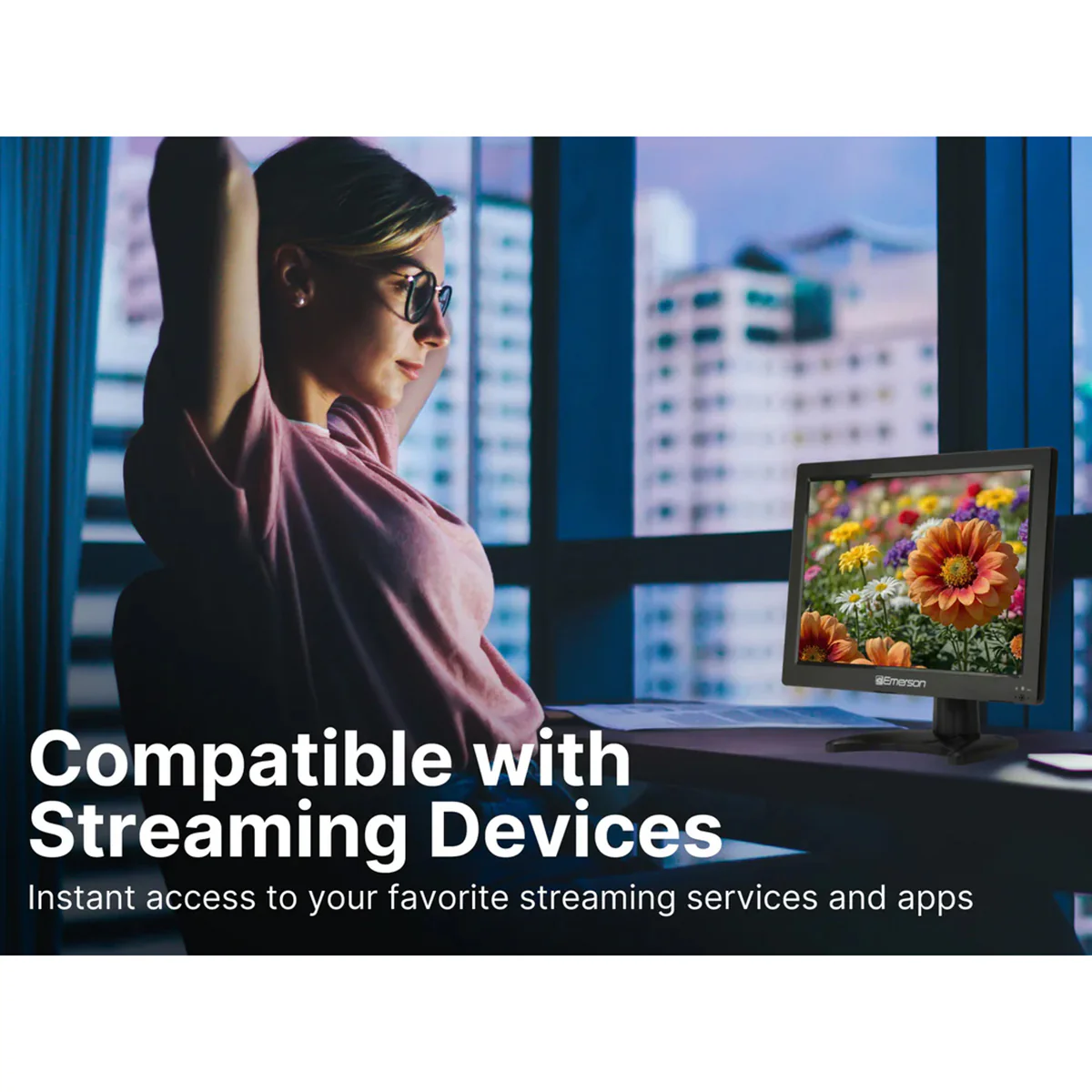 13.3'' Portable Digital TV - Image 16
