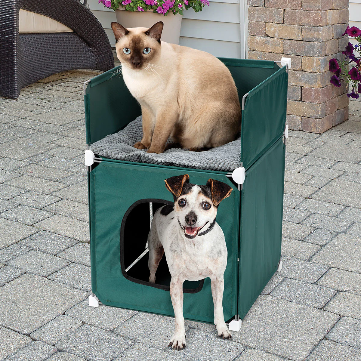 2-Story Pet House