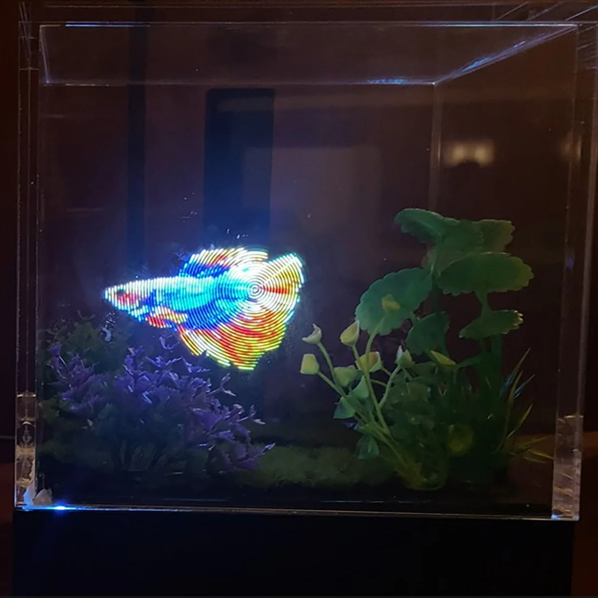 3D Holographic Aquarium - Image 21