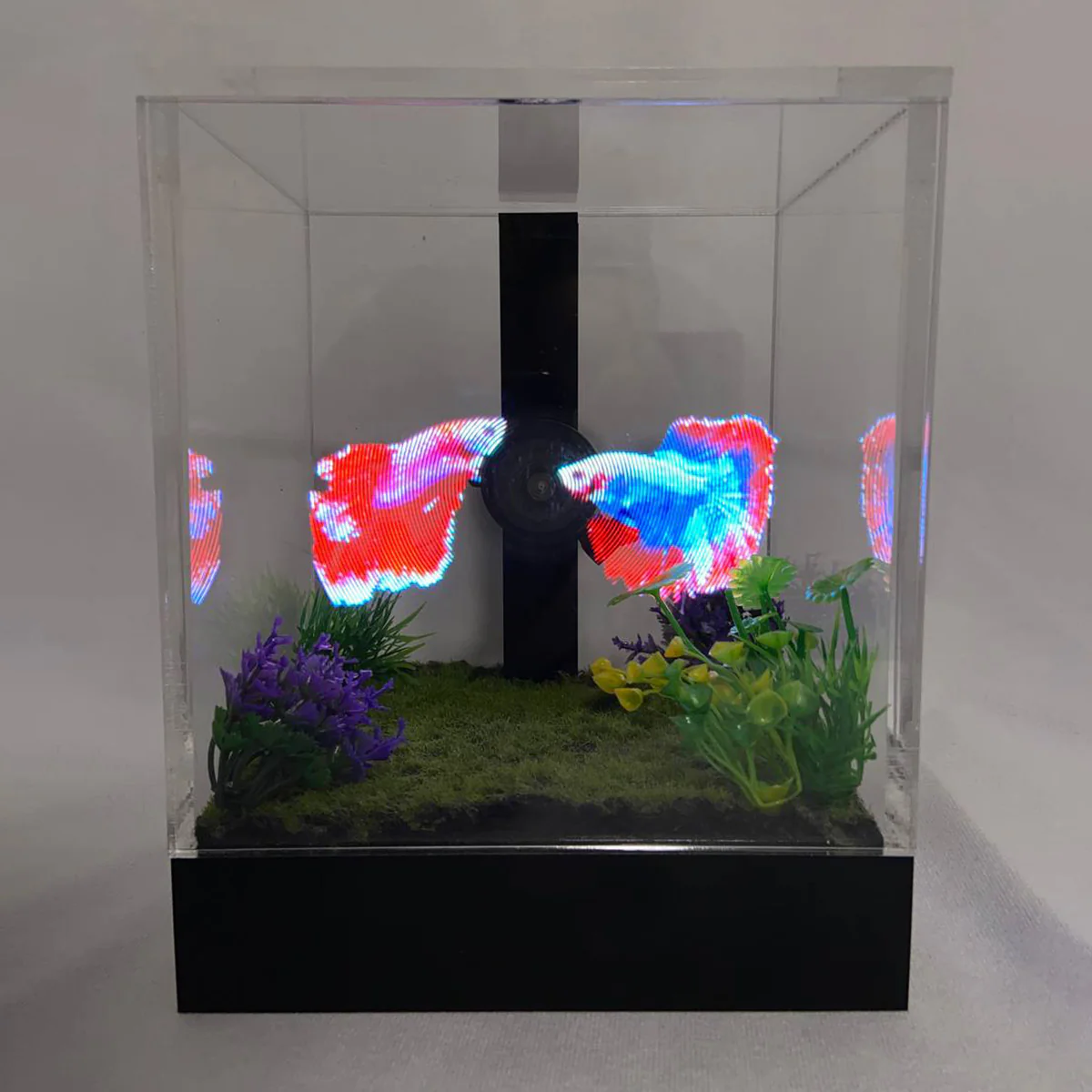 3D Holographic Aquarium - Image 22