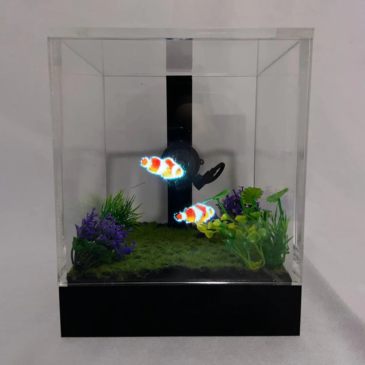3D Holographic Aquarium - Image 24