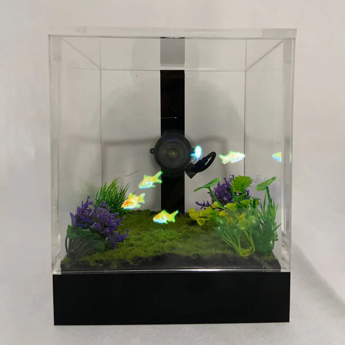 3D Holographic Aquarium - Image 26