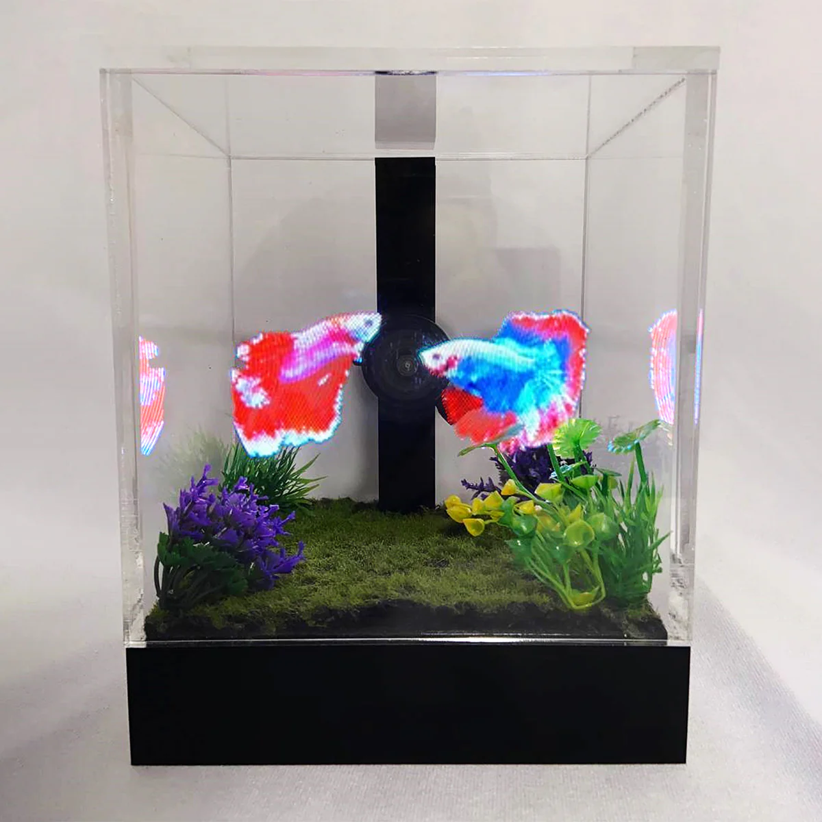 3D Holographic Aquarium - Image 4