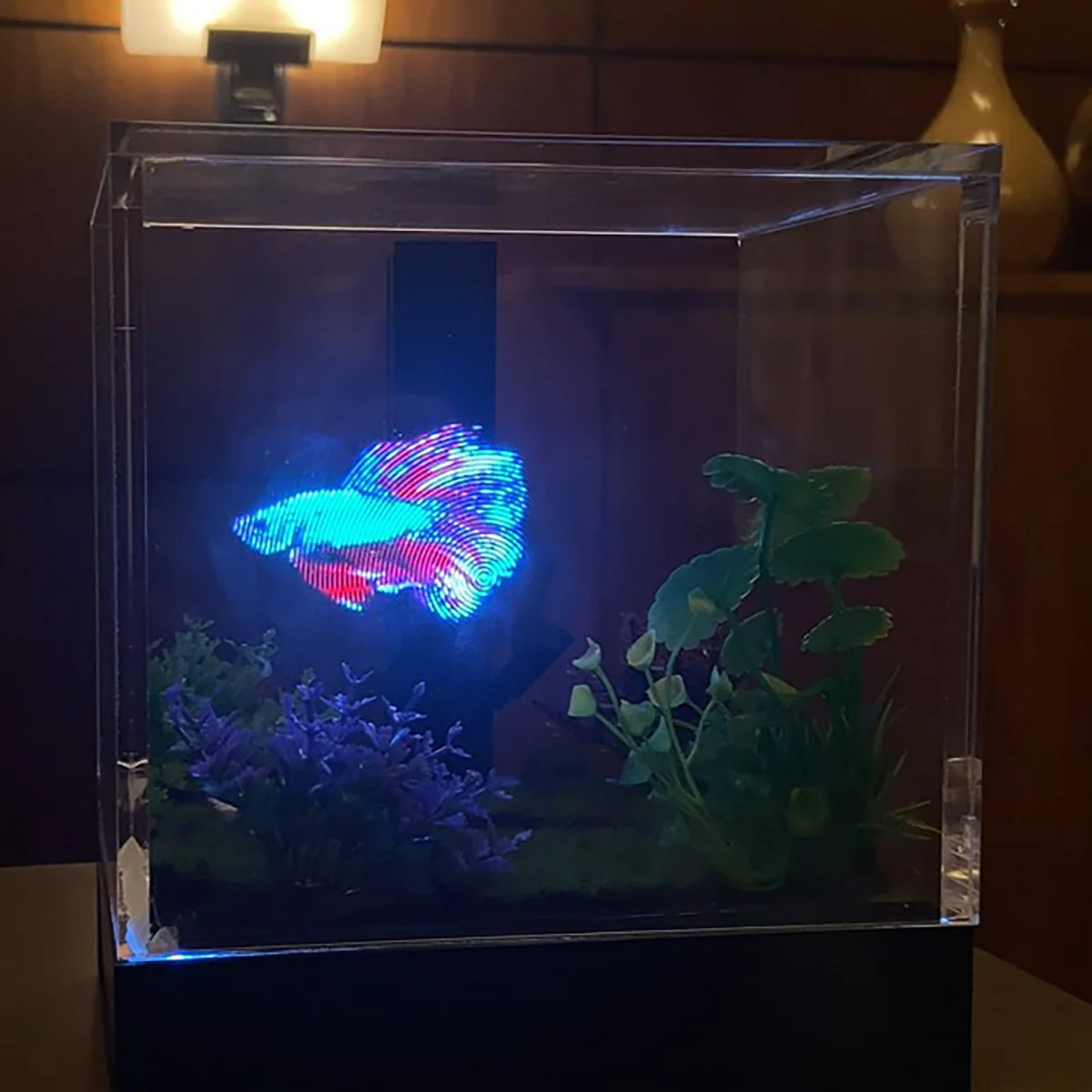 3D Holographic Aquarium - Image 5