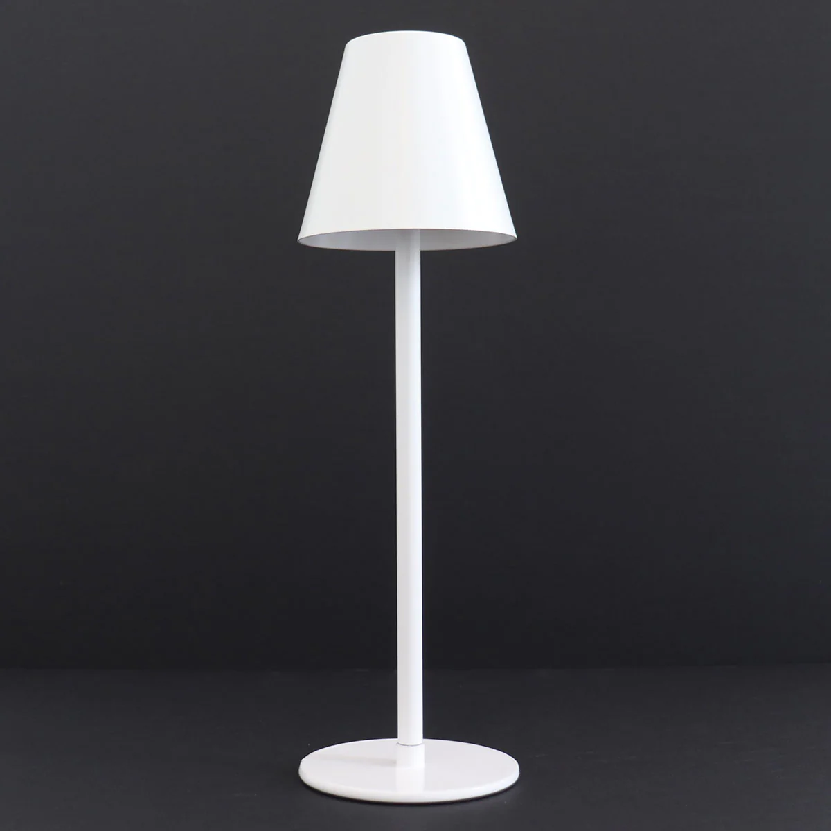 4-in-1 Indoor/Outdoor Bug Deterrent Lamp - Image 30
