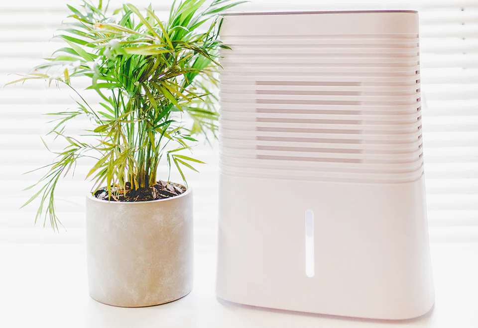 4 Pint Dehumidifier - Image 4