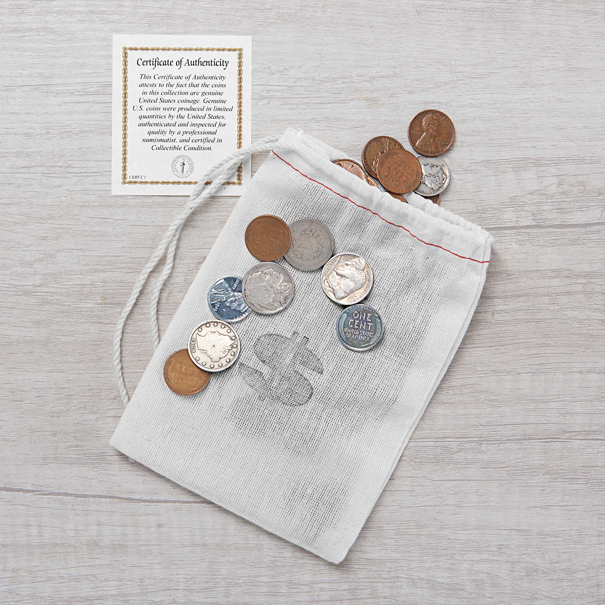 60 Historic Coin Bankers Bag