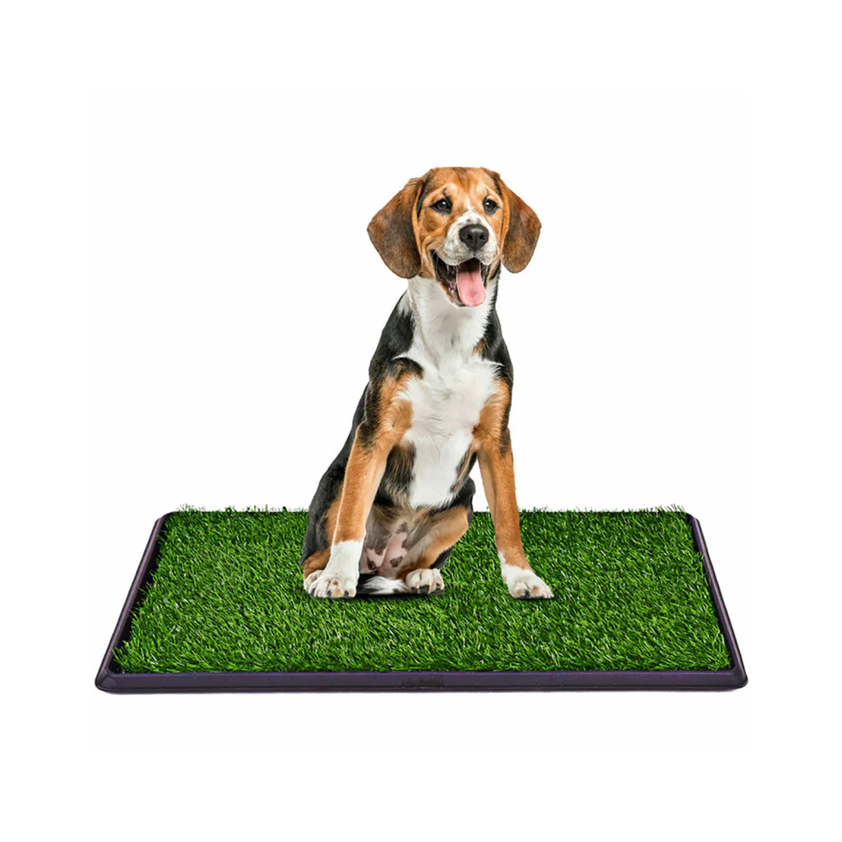 Artificial Grass Puppy Potty Trainer - Image 2