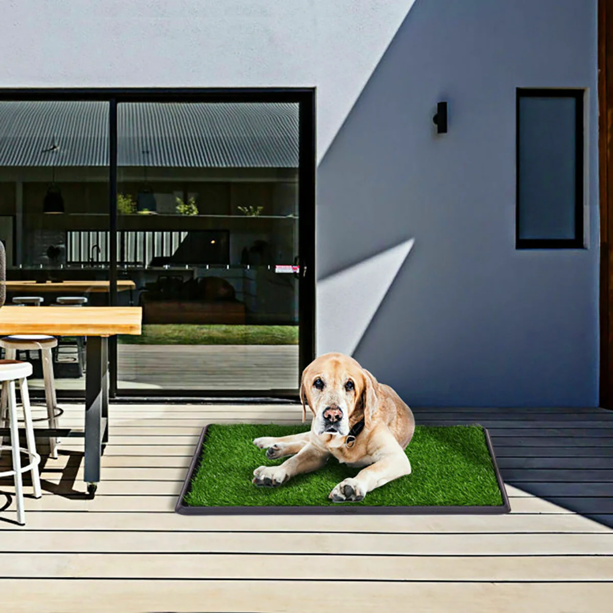 Artificial Grass Puppy Potty Trainer - Image 5