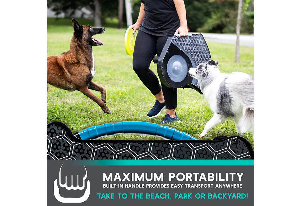 Automatic Dog Disc Launcher - Image 8