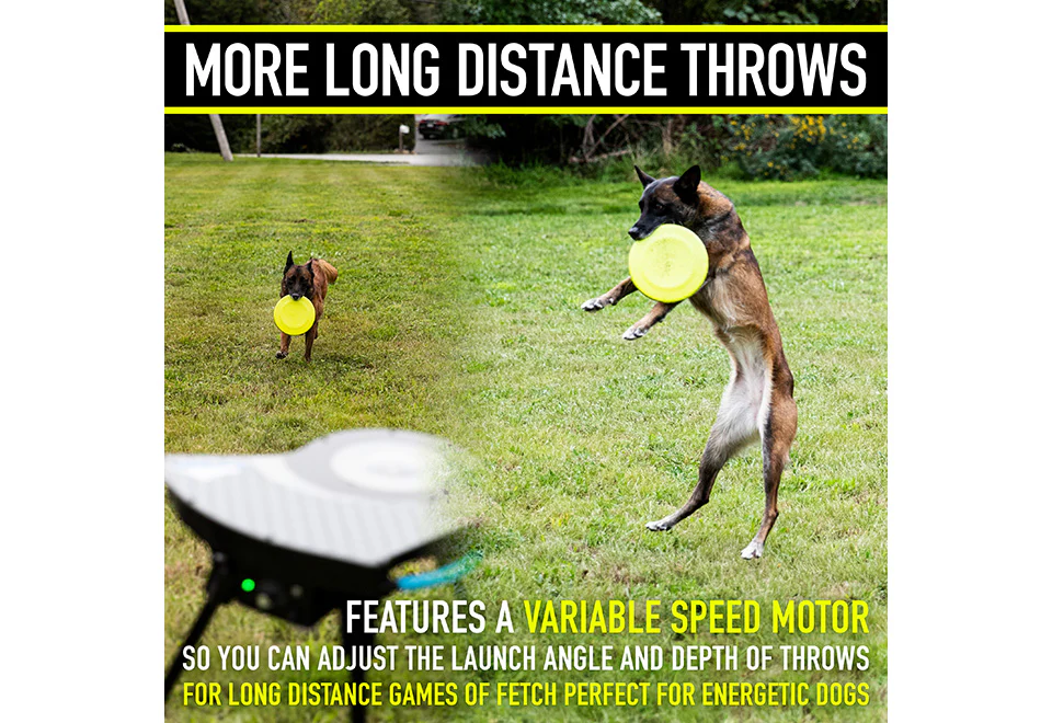 Automatic Dog Disc Launcher - Image 9