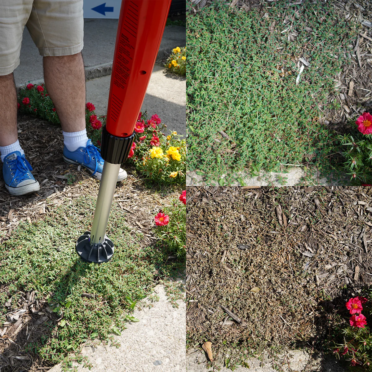 Chemical-Free Weed Killer - Image 6