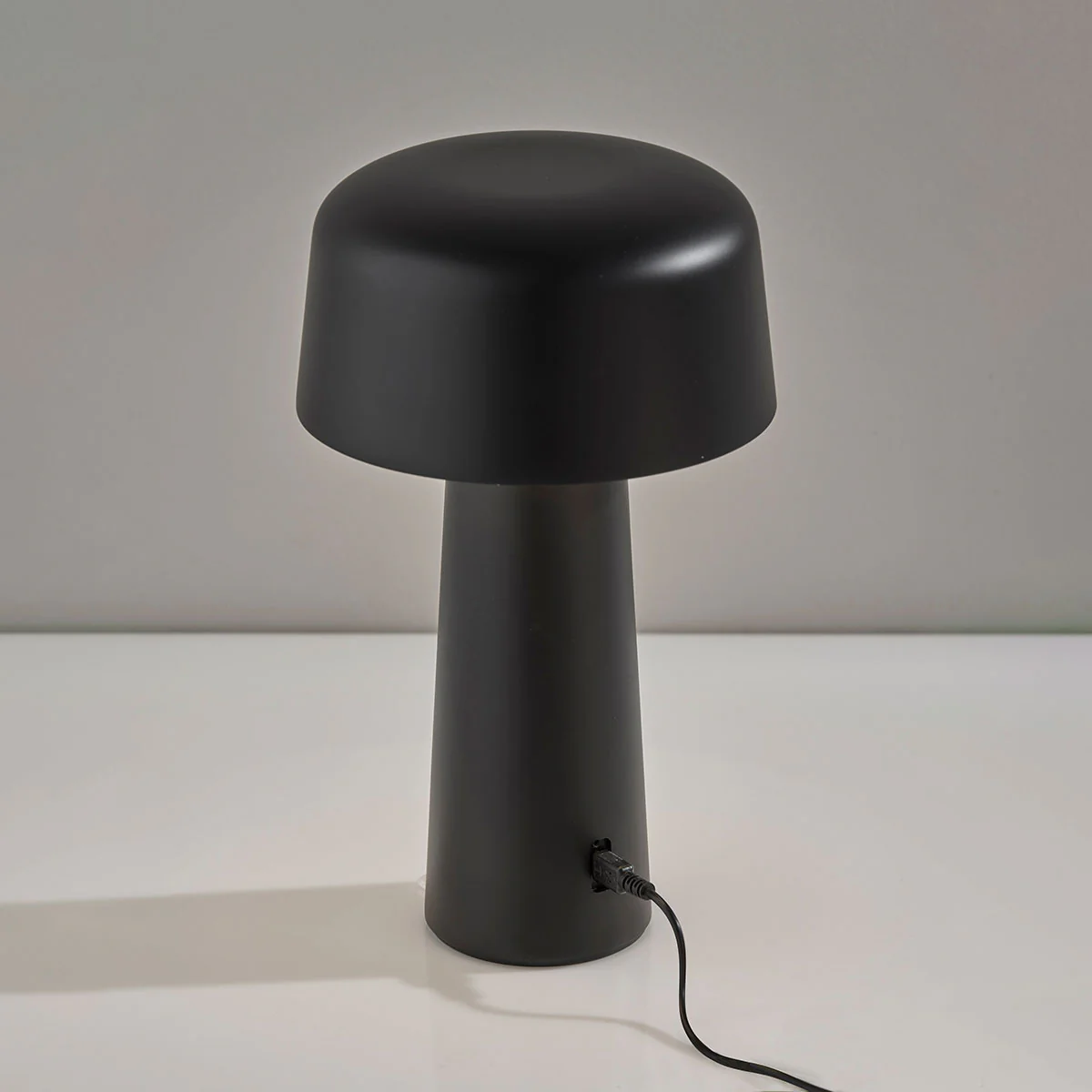 Cordless Indoor/Outdoor LED Diffused Light  Table Lamp - Image 4