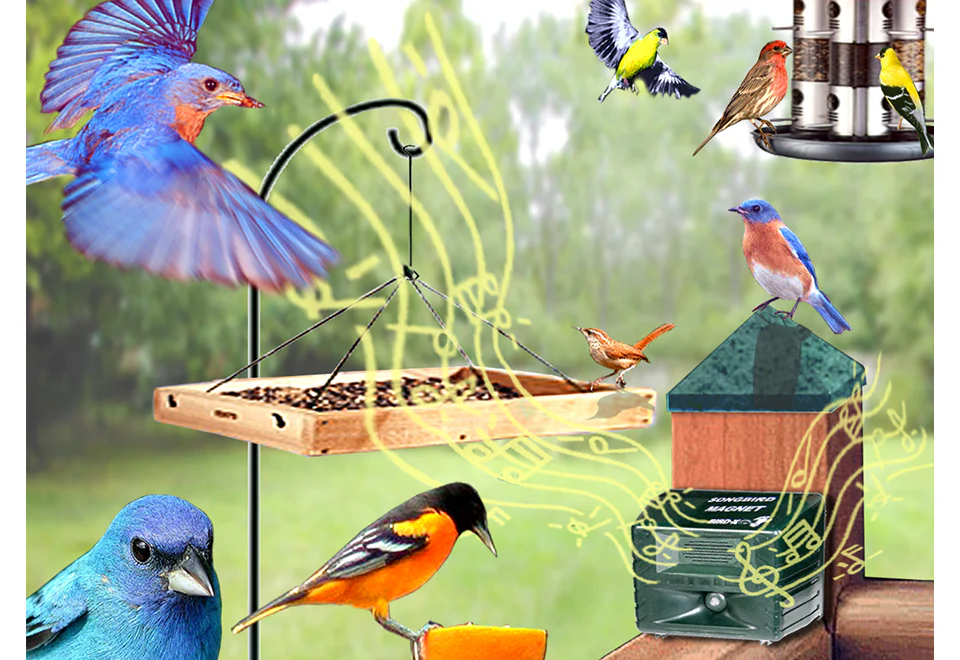 Electronic Bird Caller - Image 3