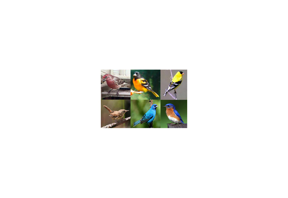 Electronic Bird Caller - Image 4