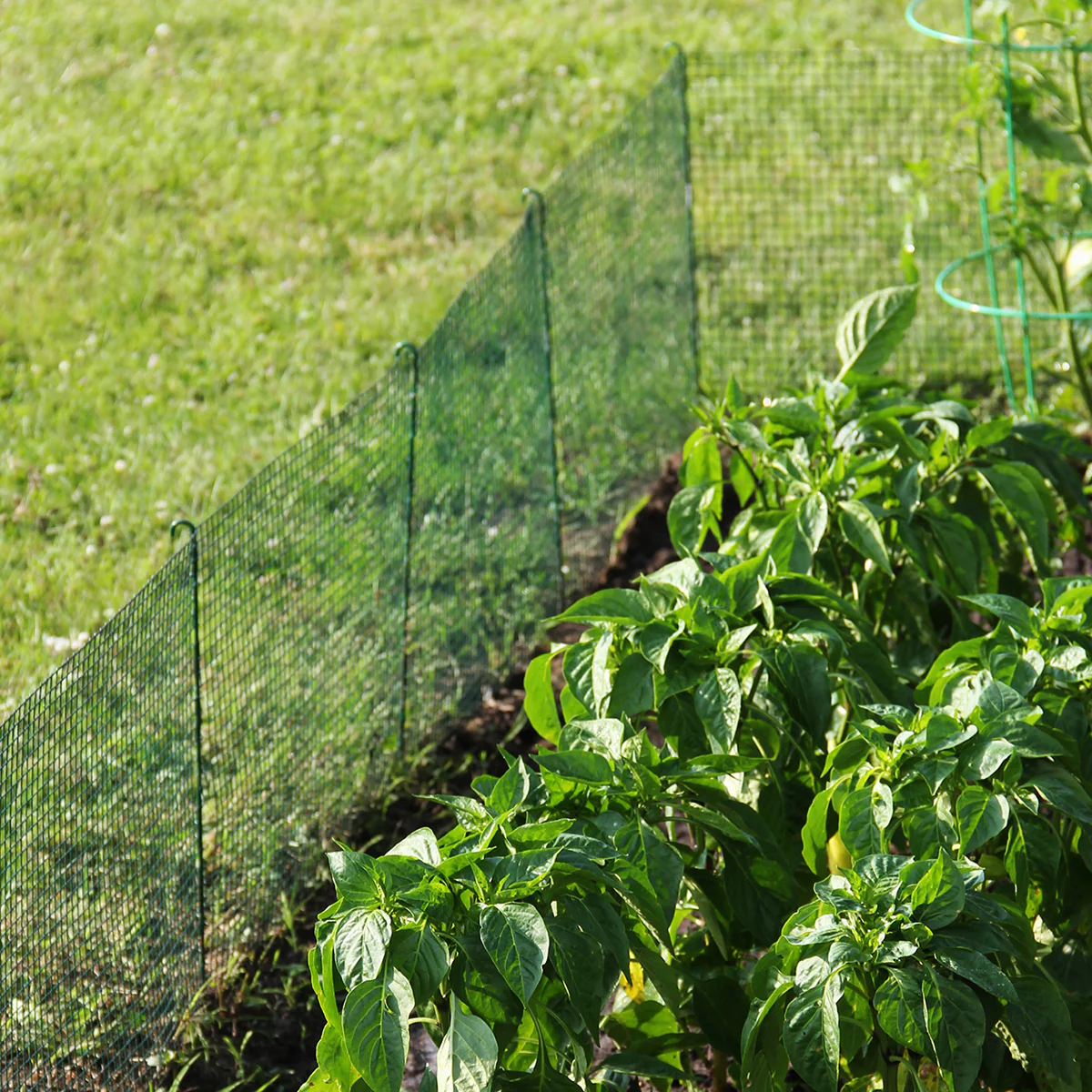Expandable Modular Garden Fencing System - Image 4