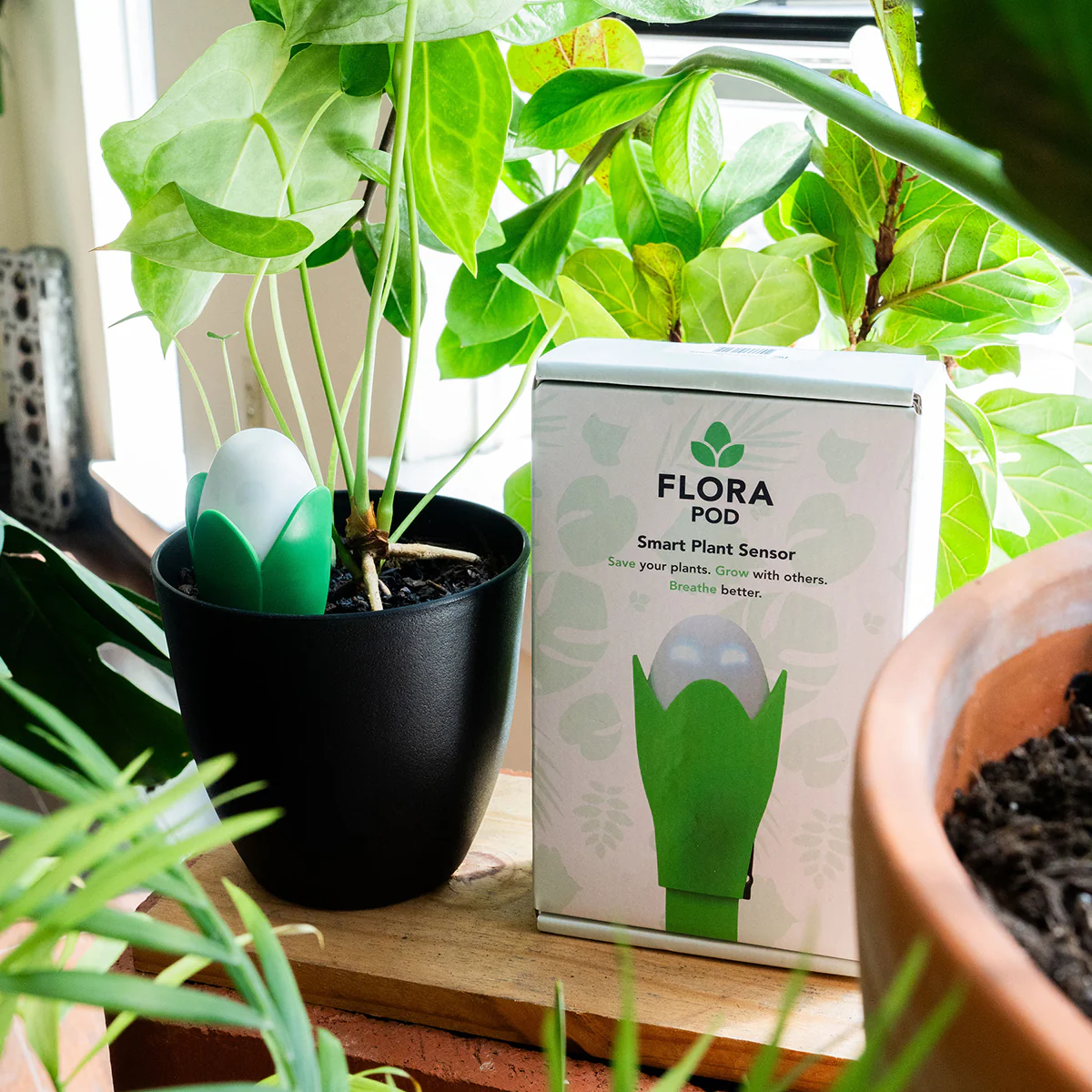 Flora Pod™ Smart Plant Monitor - Image 7