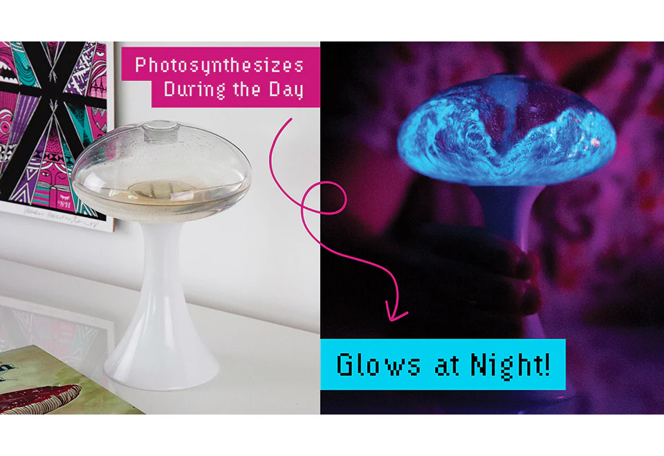 Glowing Plankton Aquarium - Image 6