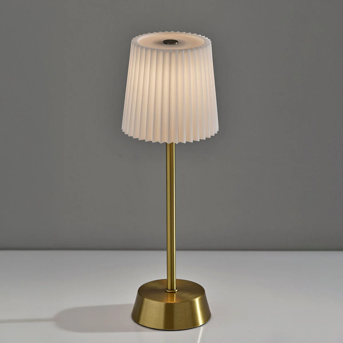 Indoor/Outdoor LED Table Lamp with Pleated Shade