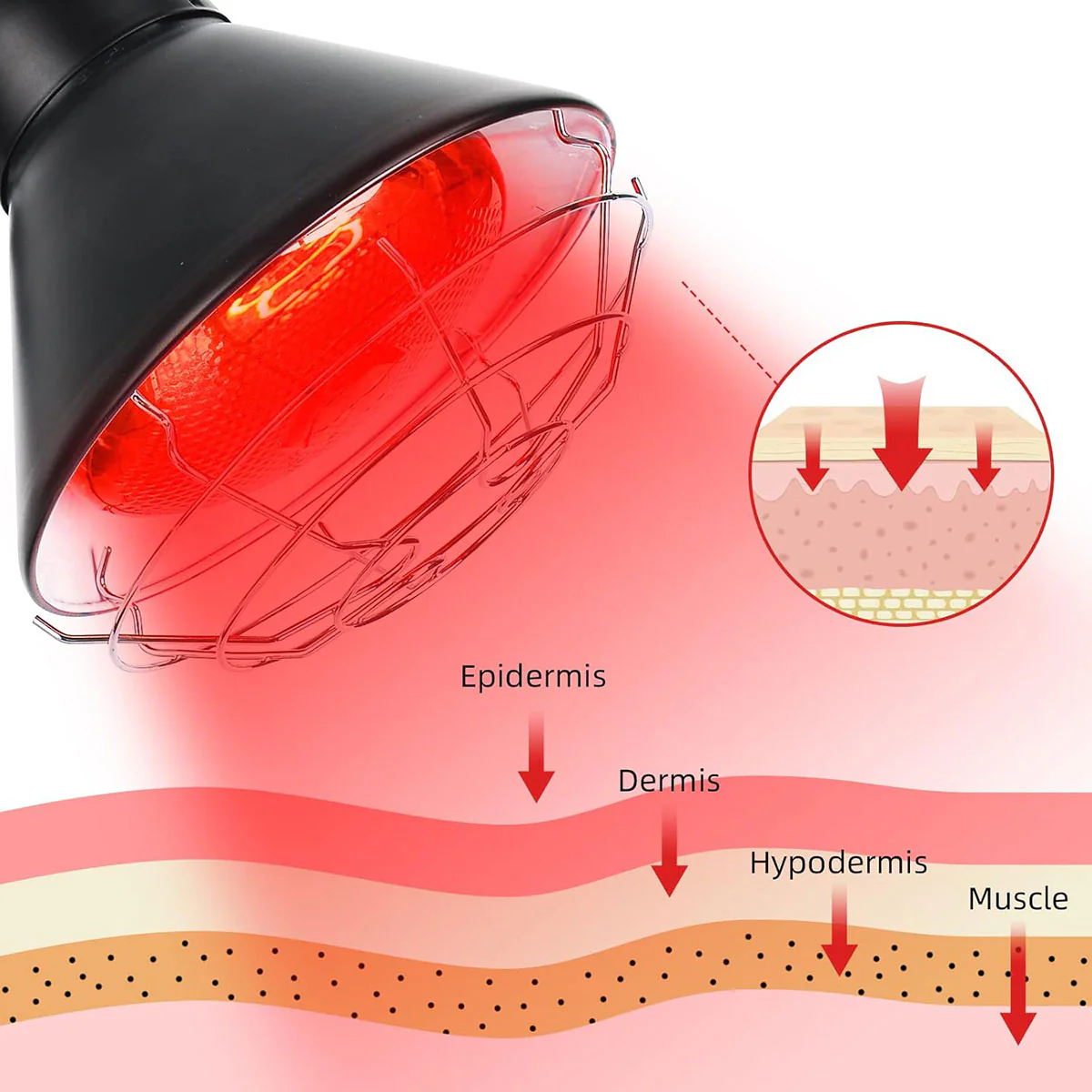 Infrared Light Therapy Lamp - Image 3