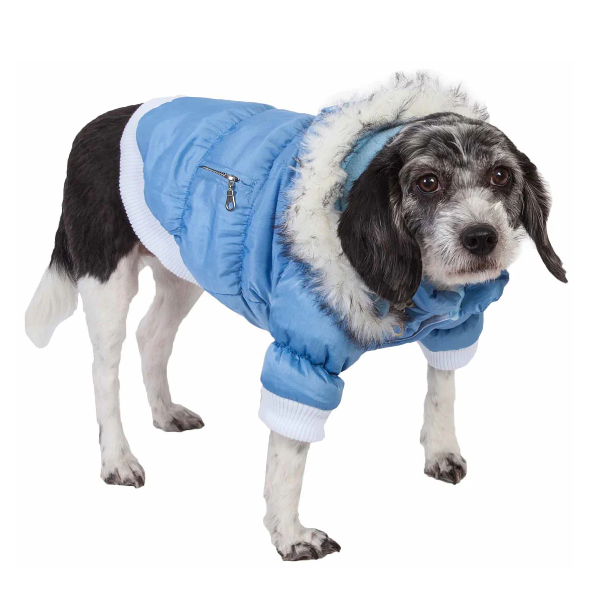 Insulated Dog Coat Parka with Removable Hood - Image 18