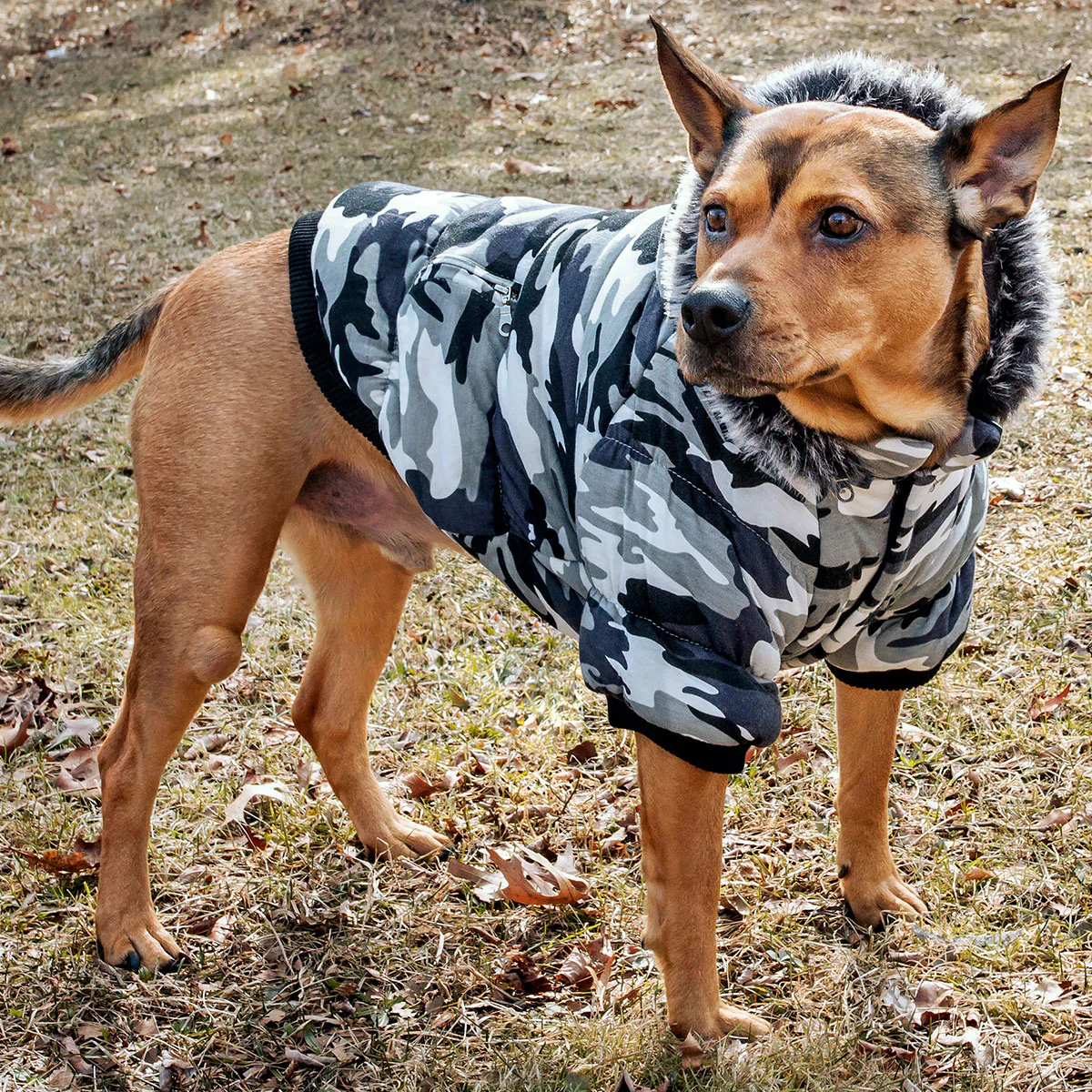Insulated Dog Coat Parka with Removable Hood - Image 21