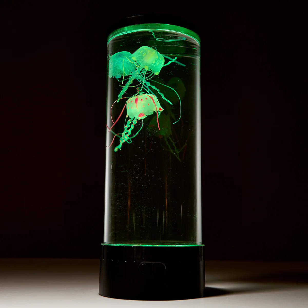 Jellyfish Aquarium - Image 7