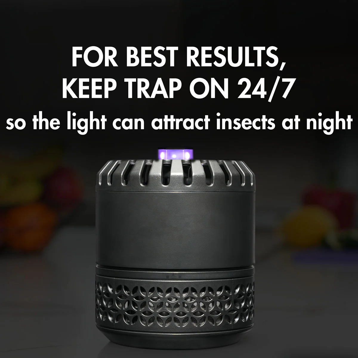 LED Indoor Fruit Fly Trap - Image 4
