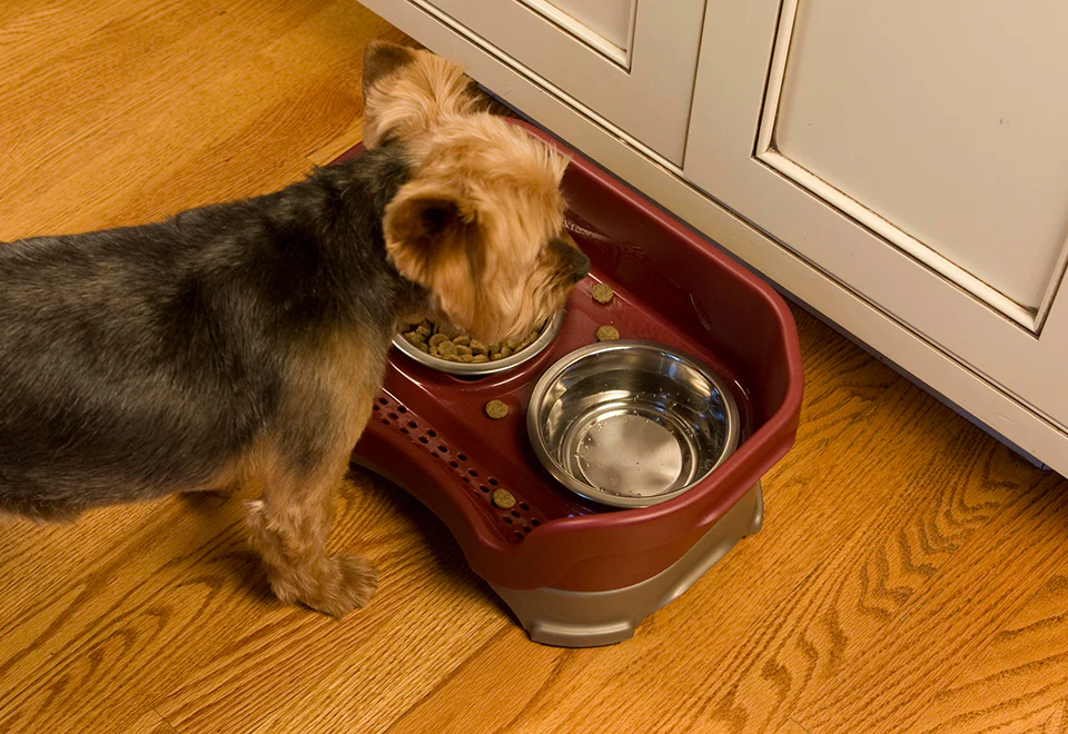 Mess Proof Pet Feeder - Image 5