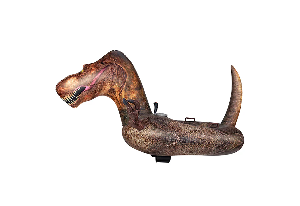 Motorized Pool Float - Image 5