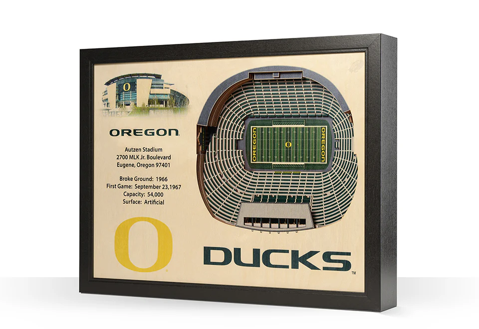 NCAA 3D Stadium Wall Art - Image 37