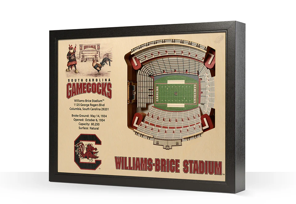 NCAA 3D Stadium Wall Art - Image 43