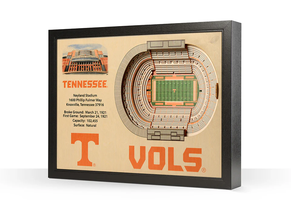 NCAA 3D Stadium Wall Art - Image 46
