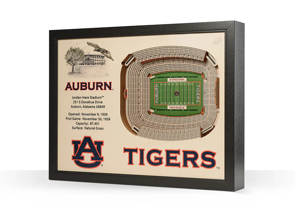 NCAA 3D Stadium Wall Art - Image 71
