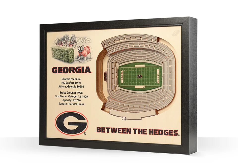 NCAA 3D Stadium Wall Art - Image 79