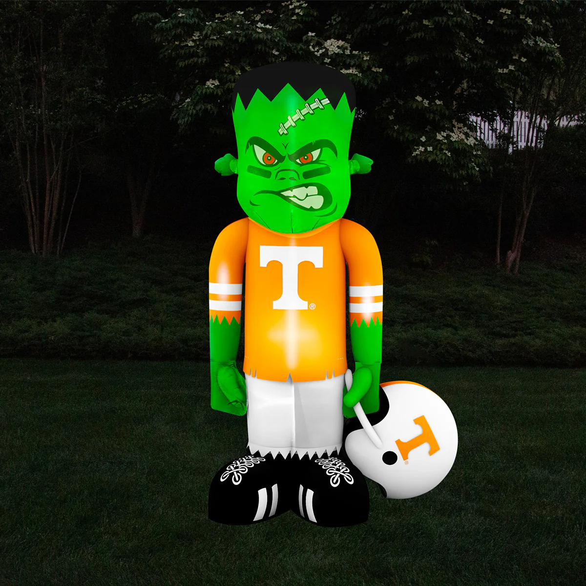 NCAA Inflatable Steinbacker - Image 18