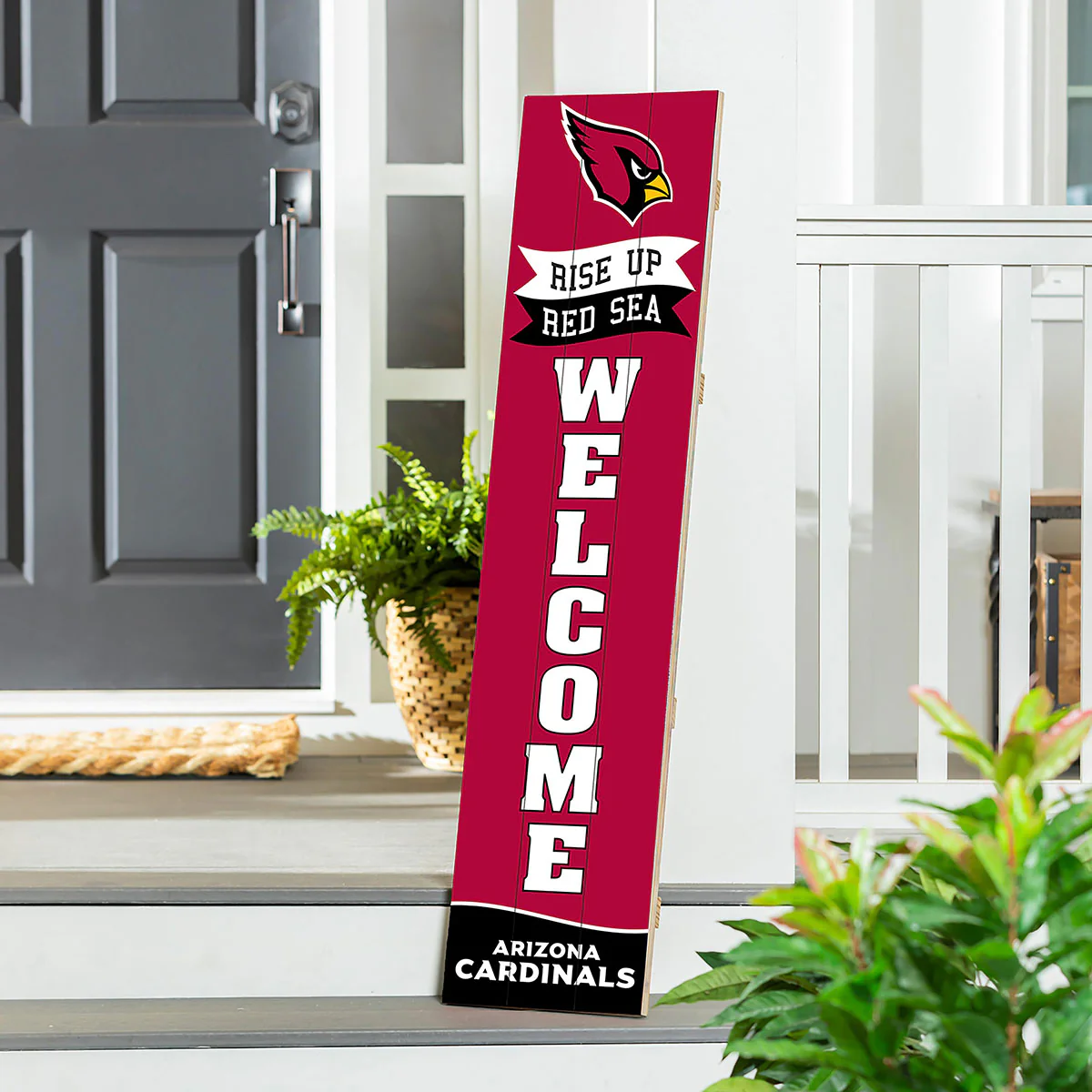 NFL Team Spirit Leaner