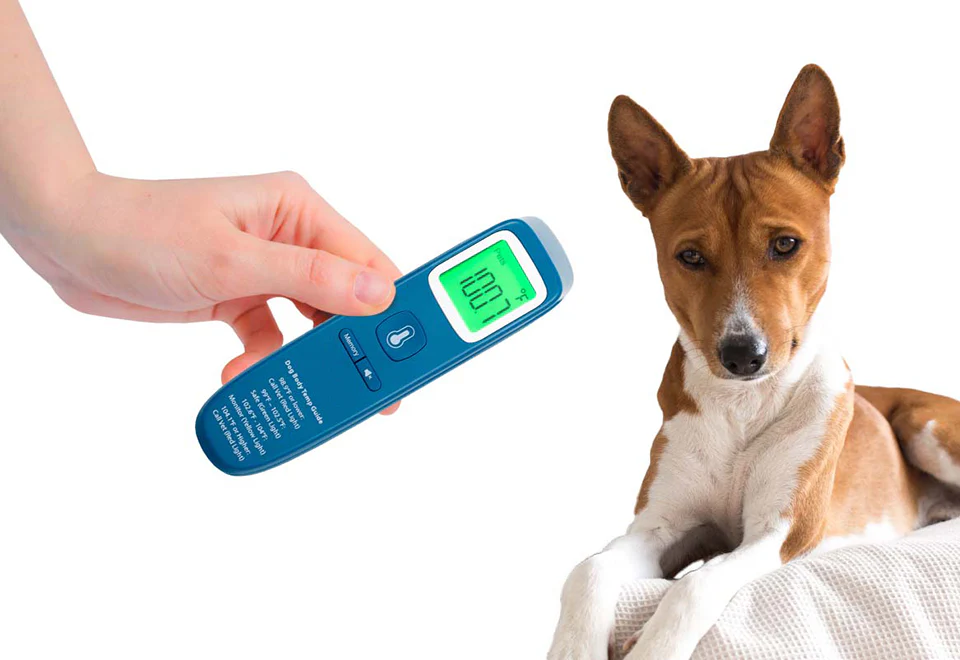 No-Contact Dog Thermometer