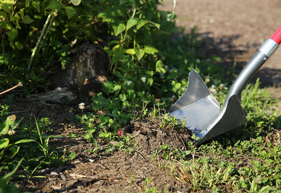 One Shot ''Wing'' Shovel - Image 3