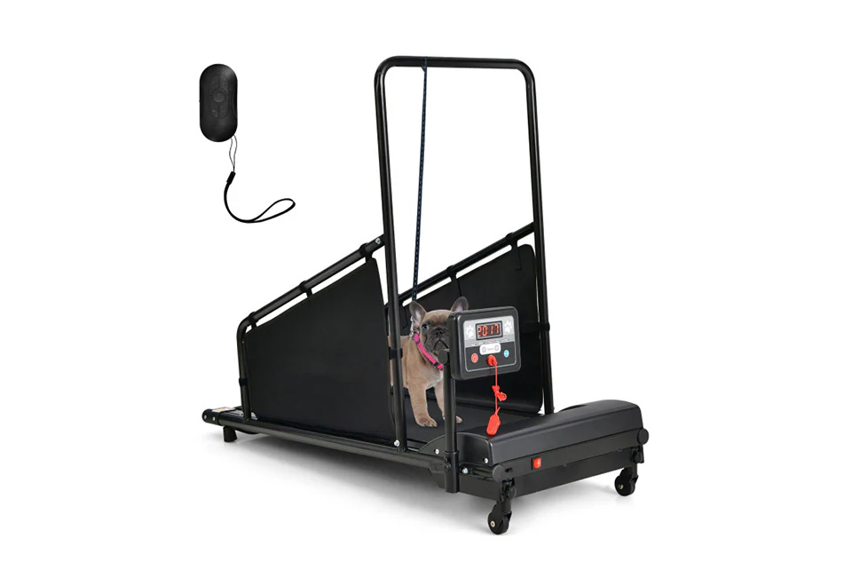 Pet Treadmill
