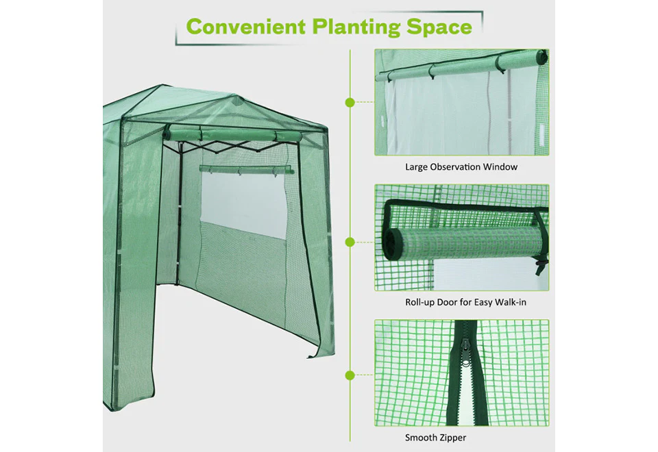 Pop-Up Greenhouse - Image 7