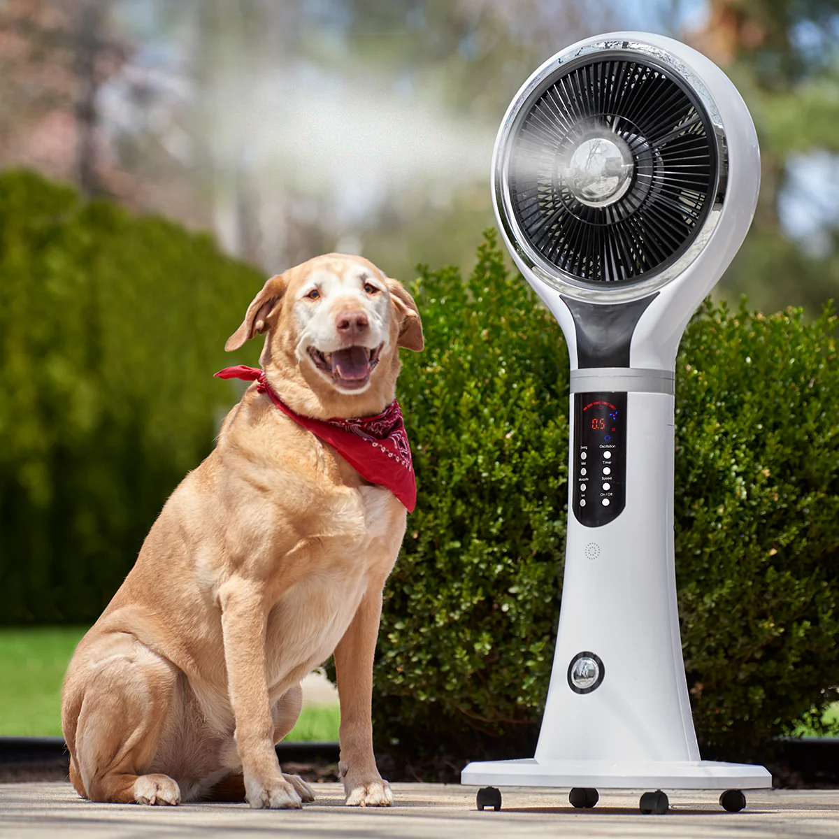 Portable Evaporative Cooler by Sharper Image - Image 6