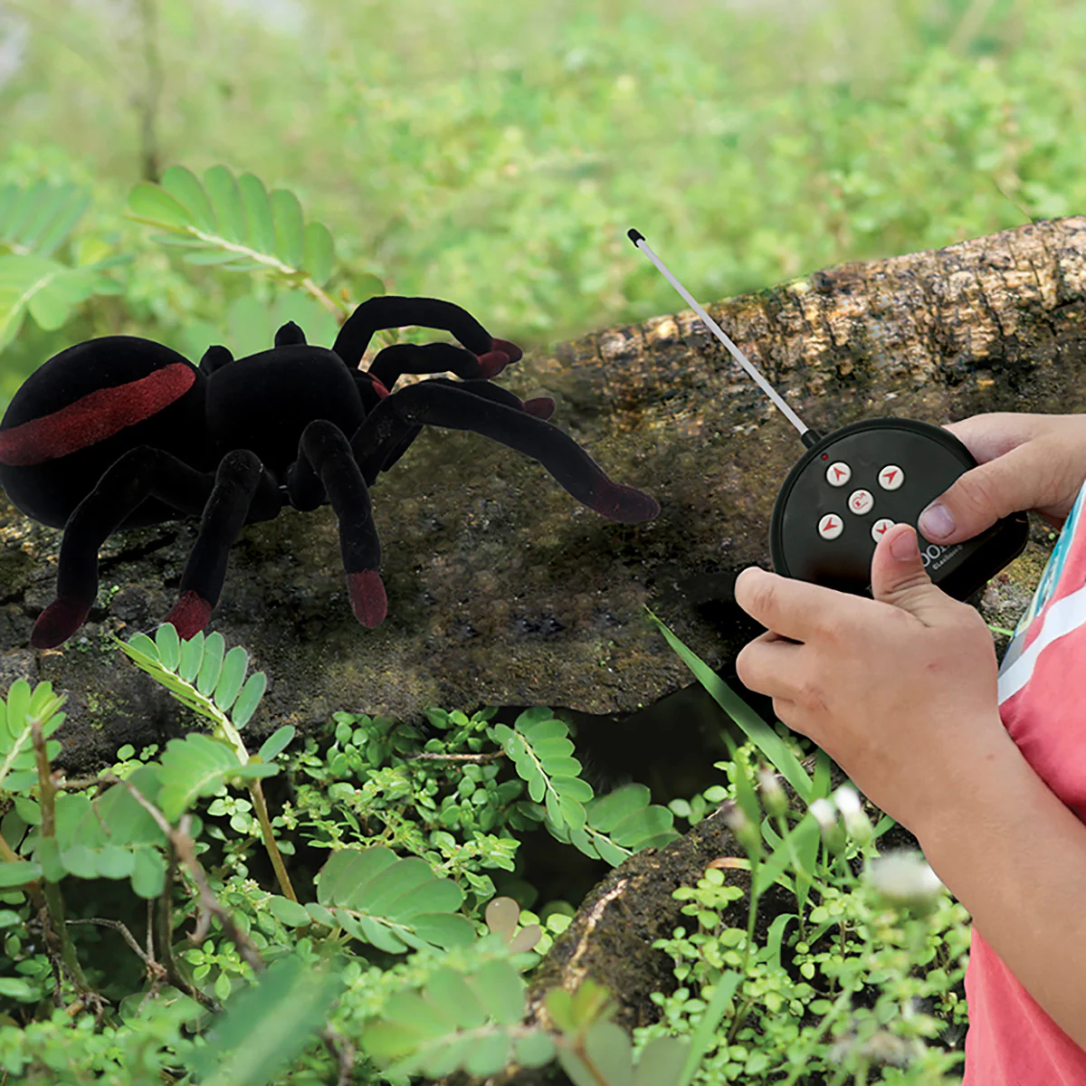 RC Tarantula