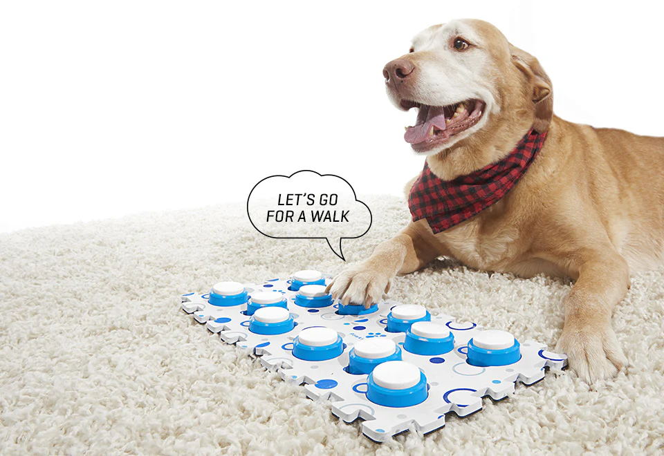 Recordable Pet Training Buttons - Image 9