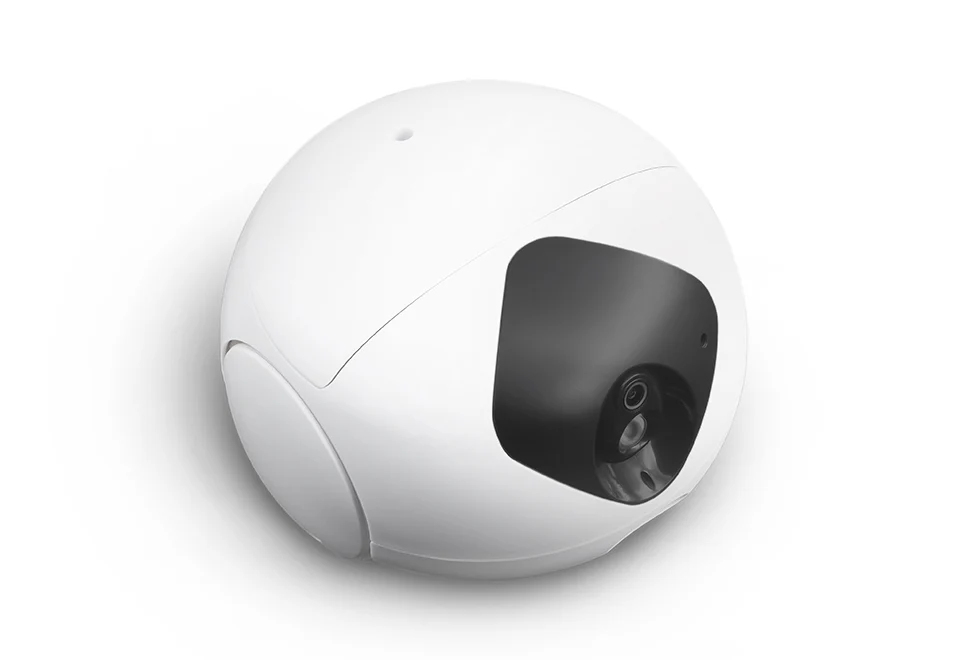 Robotic Pet Interaction Toy - Image 3