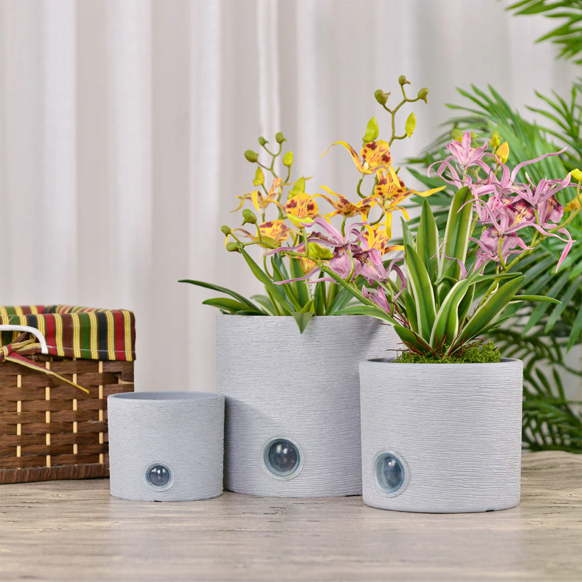 Self-Watering Cylinder Pot System for Indoor Plants (Set of 3) - Image 4