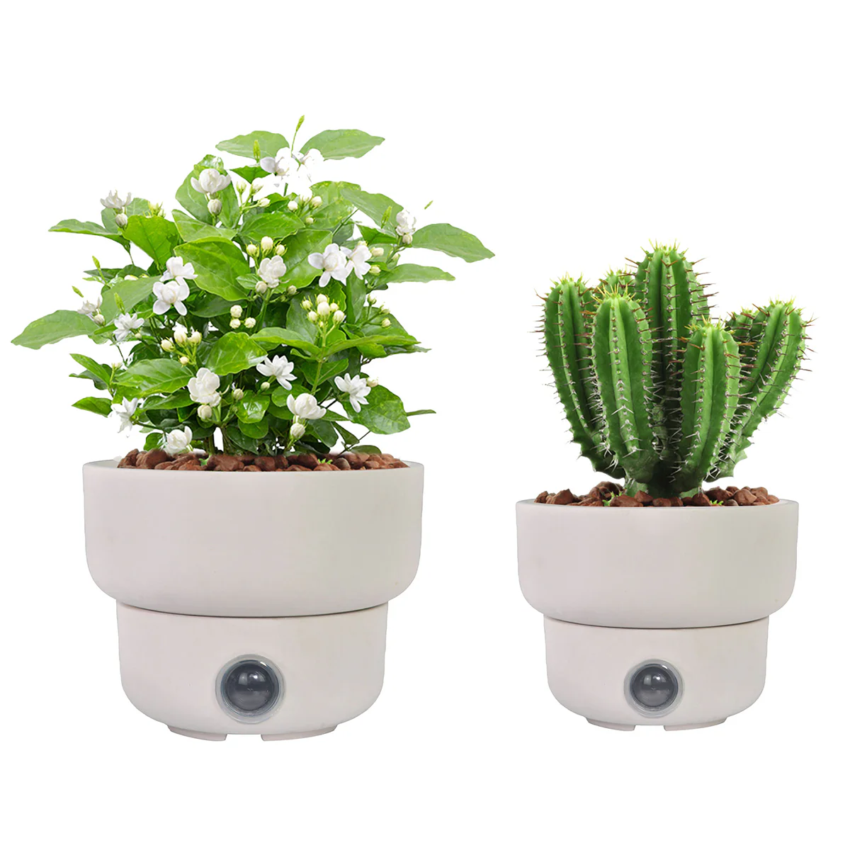 Self-Watering Low Bowl Pot System for Indoor Plants (Set of 2) - Image 3