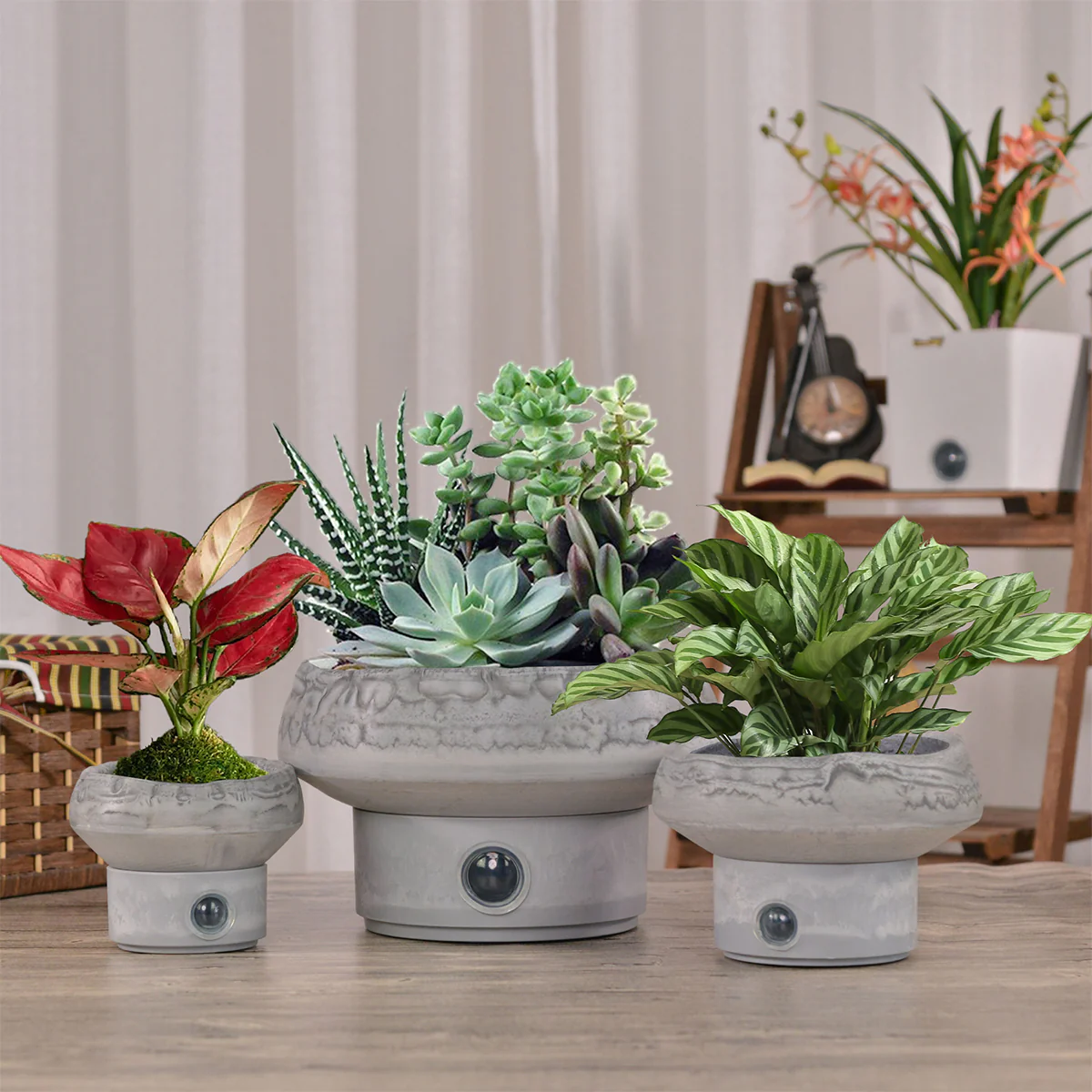 Self-Watering Rock Garden Pot System for Indoor Plants (Set of 3) - Image 2