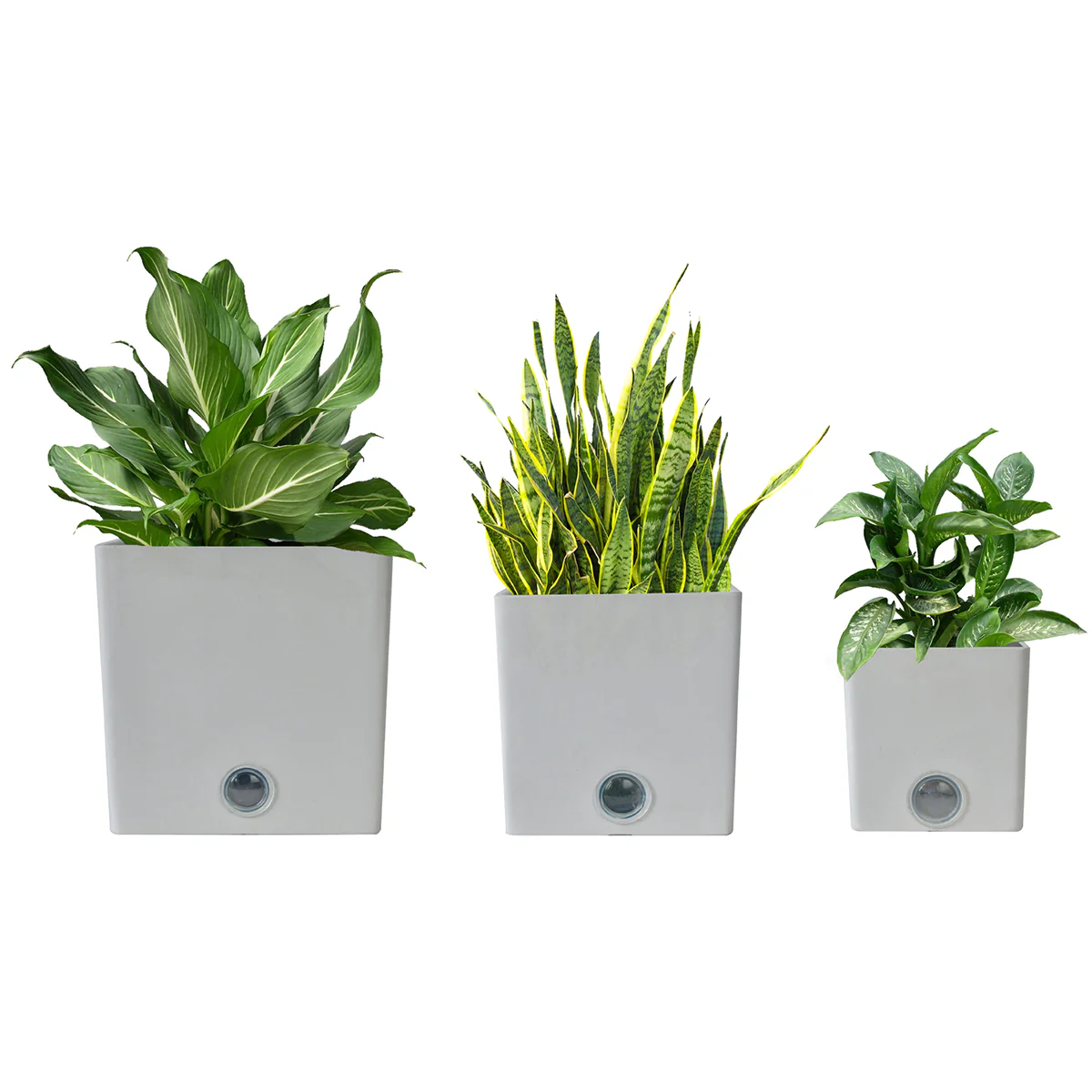 Self-Watering Square Pot System for Indoor Plants (Set of 3) - Image 3
