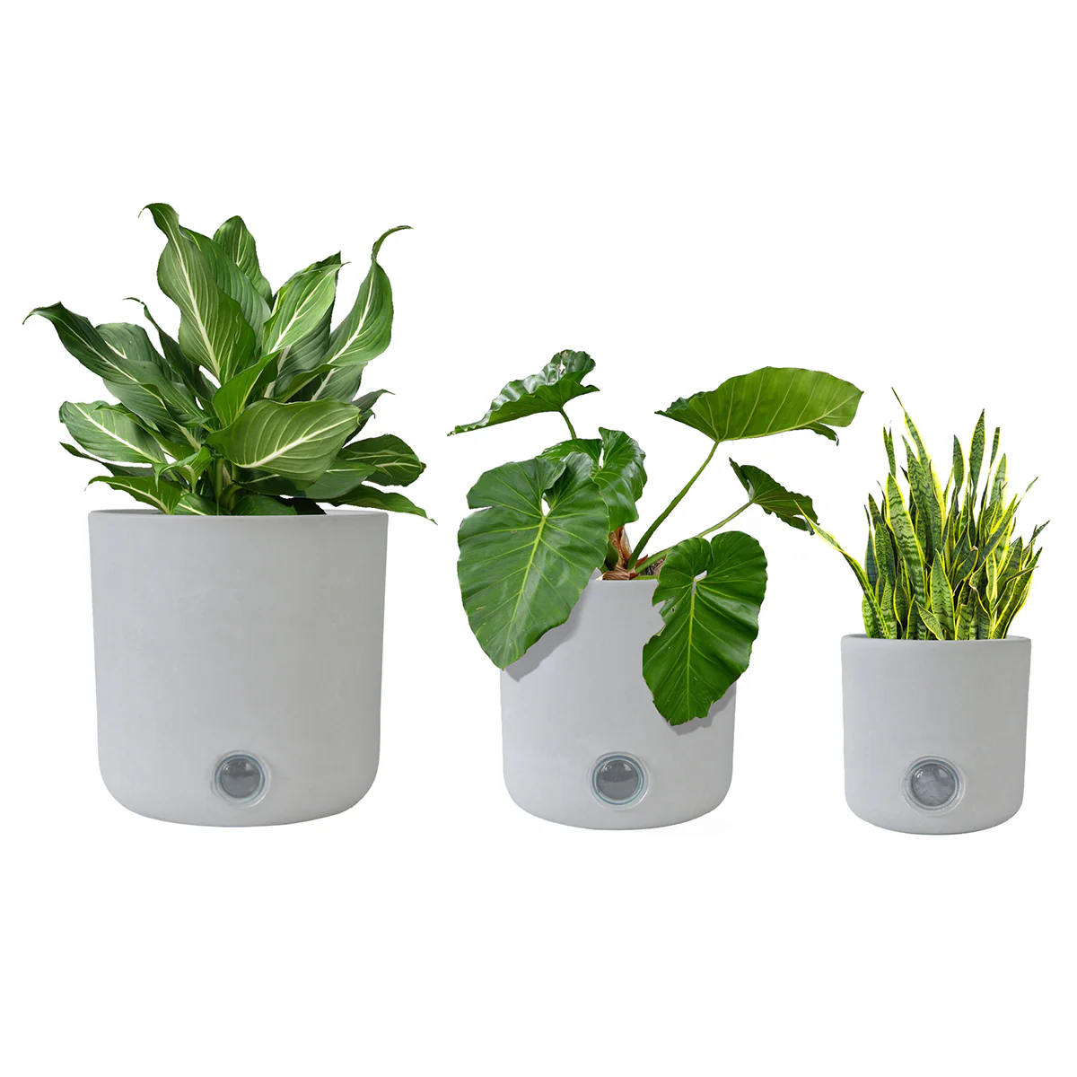 Self-Watering Tall Cylinder Pot System for Indoor Plants (Set of 3) - Image 2